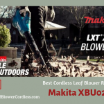 Makita XBU02PT1 Electric Leaf Blower Review