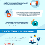 Should You Outsource Your Data Entry? [Infographic]