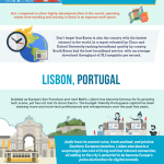 Top Cities for Working Remotely in 2018 [Infographic]